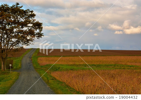 Shogo Biei (108) Shogo Biei (108) 19004432