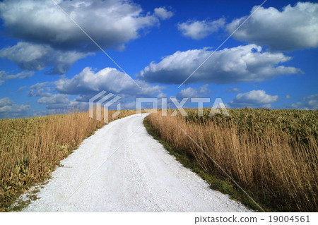 白色的路 白色的路 19004561