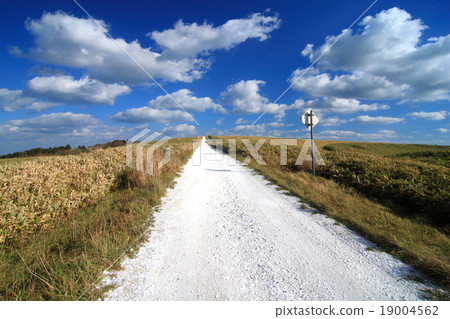 白色的路 白色的路 19004562