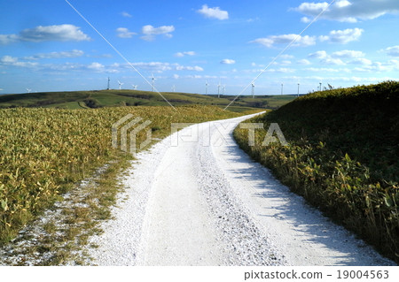 白色的路 白色的路 19004563