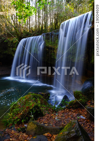 落葉和Nabe從右邊落下 19004609