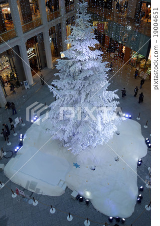 KITTE White Tree 19004651