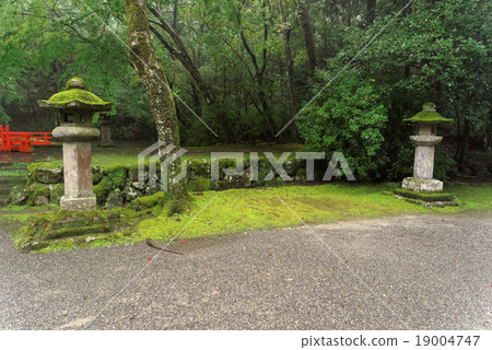 Stone lantern basket and moss Stone lantern basket and moss 19004747
