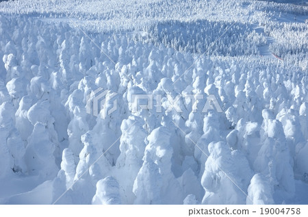 Zao的霧rim領域 19004758