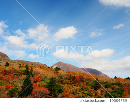 Kuju Ridayama Kusumi Autumn Leaves Kuju Ridayama Kusumi Autumn Leaves 19004789