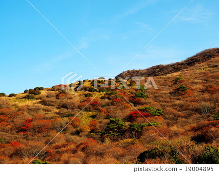 Makinoido Pass Hoshiyama秋葉 19004895