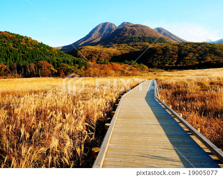 Take the original mooring evening landscape autumn scenery 19005077