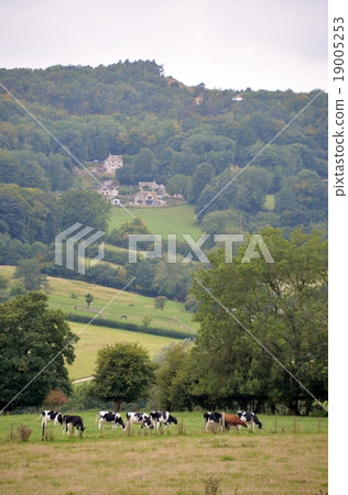 Cotswolds - 35 19005253