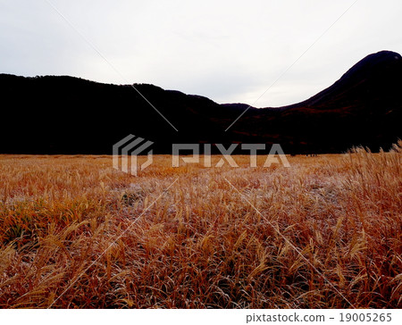 欣賞秋天風光的原始世界 19005265