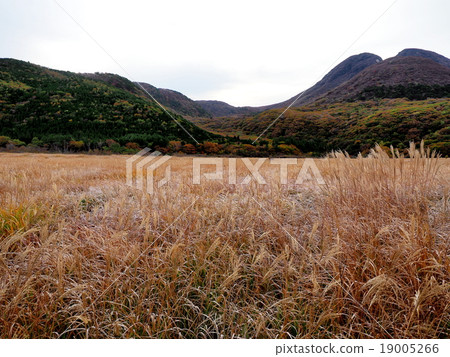 欣賞秋天風光的原始世界 19005266