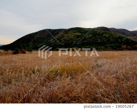 欣賞秋天風光的原始世界 欣賞秋天風光的原始世界 19005267