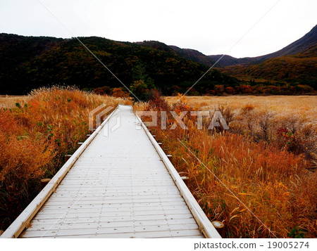 欣賞秋天風光的原始世界 欣賞秋天風光的原始世界 19005274