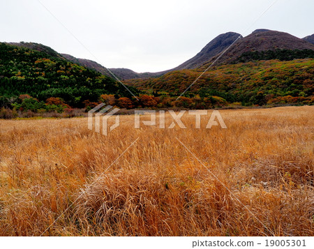 欣賞秋天風光的原始世界 欣賞秋天風光的原始世界 19005301