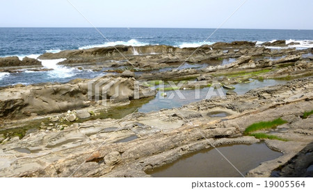 在越前海岸的Benkei洗板 在越前海岸的Benkei洗板 19005564