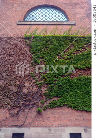 tree on wall 19005643