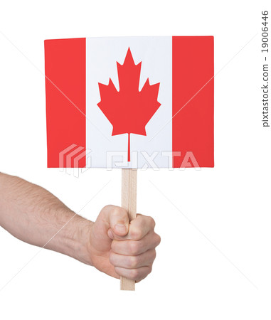 Hand holding small card - Flag of Canada Hand holding small card - Flag of Canada 19006446
