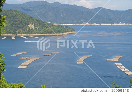 在廣島灣的牡蠣筏 19009148
