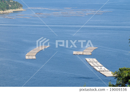 在廣島灣的牡蠣筏 19009336