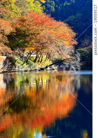 Kamakoko秋葉 19009517