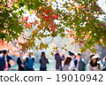 Autumn leaves and people 19010942