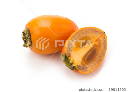 Brush persimmon Brush persimmon 19011203