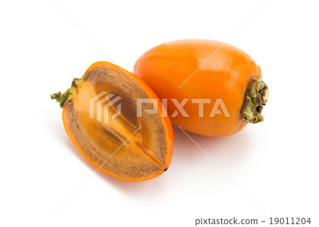 Brush persimmon Brush persimmon 19011204