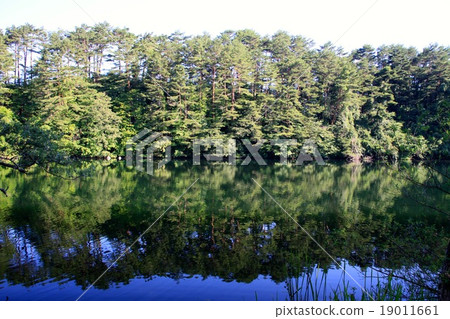 Gotokuma Gotokuma 19011661