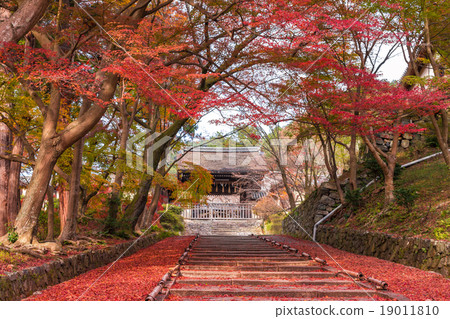 Autumn leaves at Bishamon-do Temple 19011810