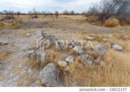 landscape namibia game reserve 19012157