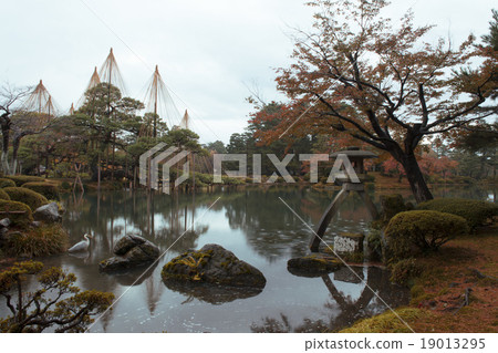 兼六園 兼六園 19013295