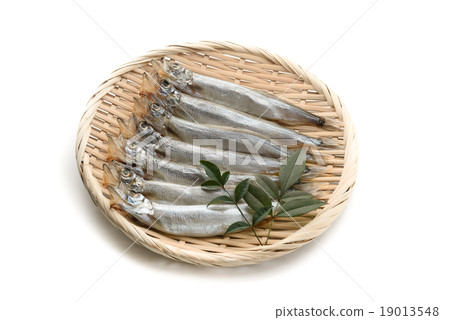 Children's shit 19013548