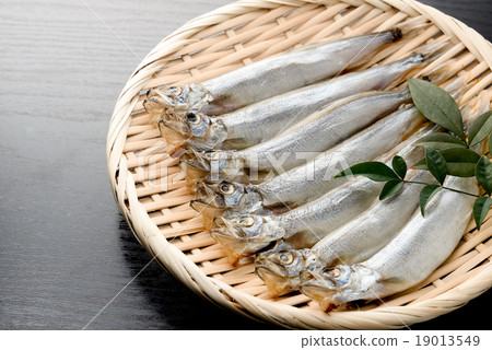 Children's shit 19013549