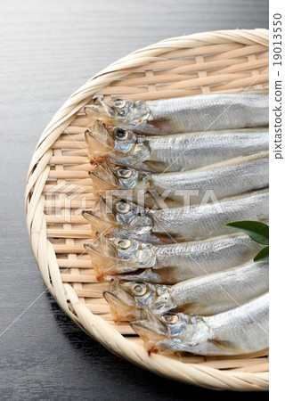 孩子們的狗屎 19013550