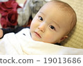 嬰兒 19013686
