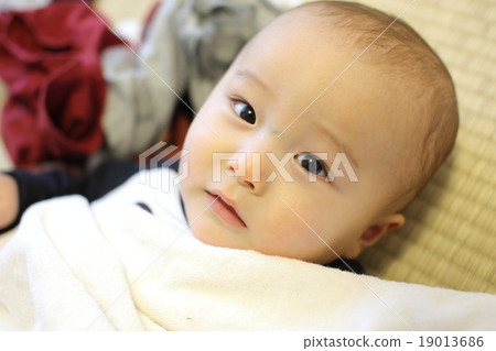 嬰兒 19013686