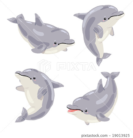 海豚01 海豚01 19013925