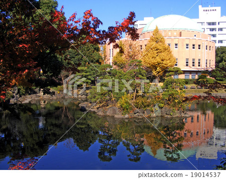 老安田公園(東京都墨田區)的秋葉 老安田公園(東京都墨田區)的秋葉 19014537