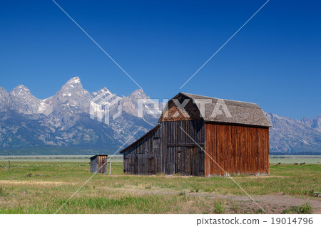 On the iconic John Moulton farm 19014796