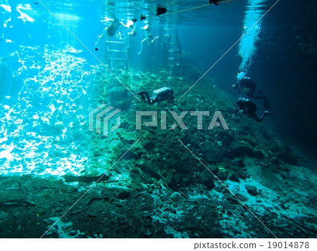 潛水在墨西哥cenote 19014878