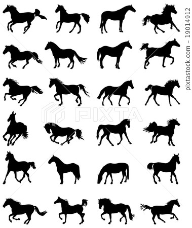 Big set of horses silhouettes 19014912