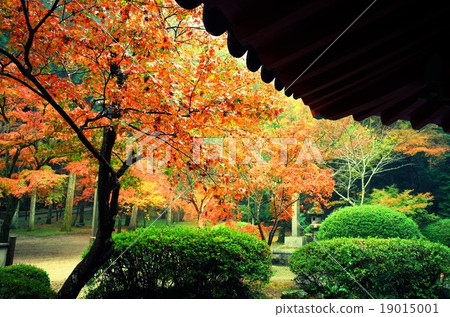 Iwakuni-moriya Park Hokkaidatei 19015001