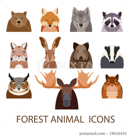 Forest animal flat icons Forest animal flat icons 19016435