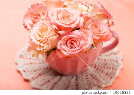 Pink roses in pink pot Pink roses in pink pot 19016521