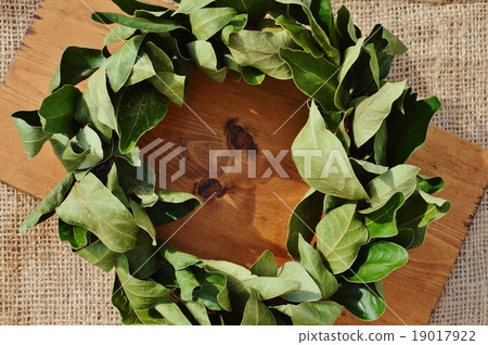 Lease of Laurie Lease of Laurie 19017922