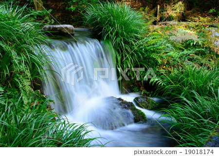 Ikeyama water source 19018174