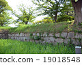 Komatsukojo 19018548