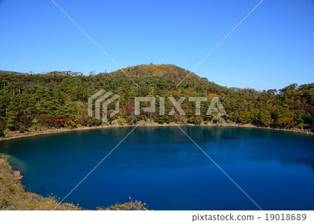 不動的池塘秋葉 19018689