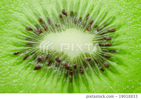 fresh juicy kiwi fruit slice closeup. fresh juicy kiwi fruit slice closeup. 19018833