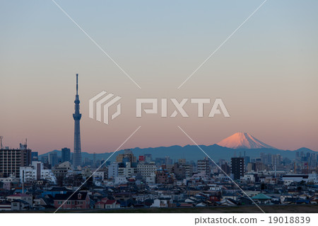 從市中心觀賞的風景富士山和東京天空樹被早晨的陽光照亮,染成紅色 從市中心觀賞的風景富士山和東京天空樹被早晨的陽光照亮,染成紅色 19018839