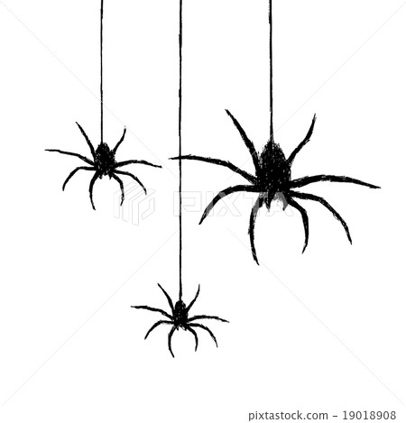 spiders spiders 19018908